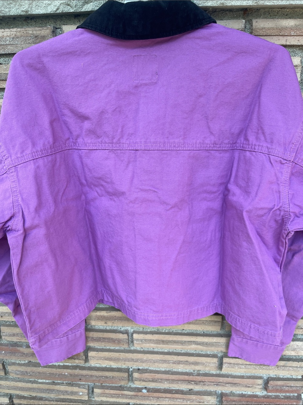 wild fable Purple Cropped Jacket with Black Corduroy Collar - Picture 3 of 3